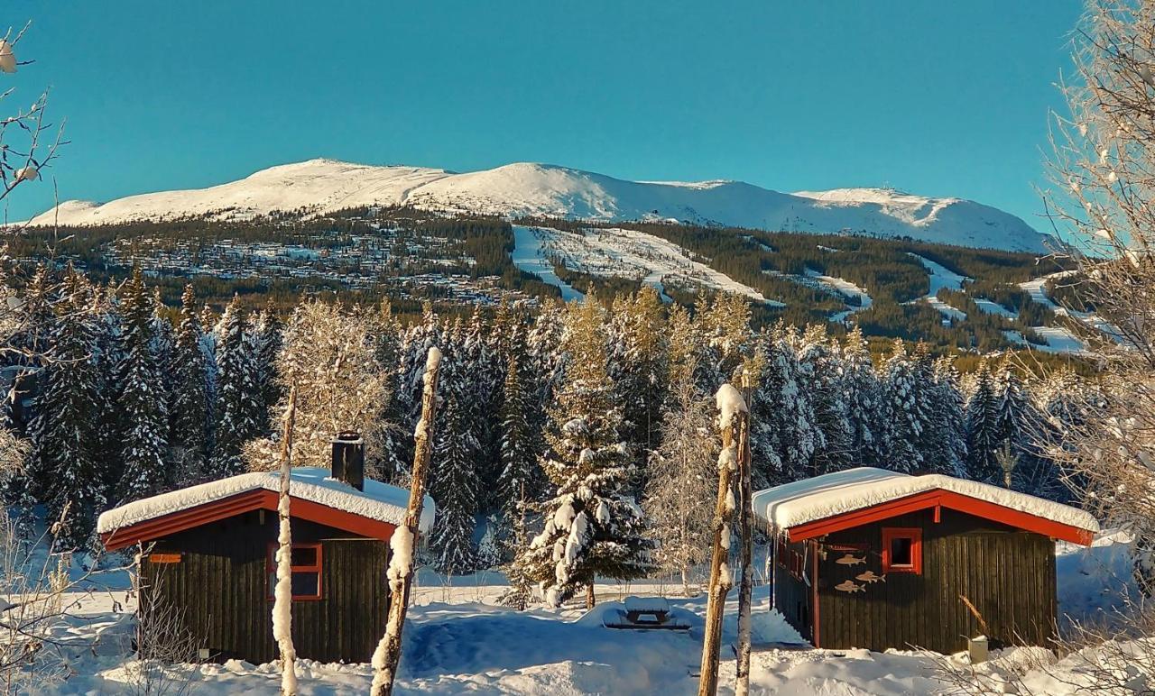 Trysil Hyttegrend المظهر الخارجي الصورة