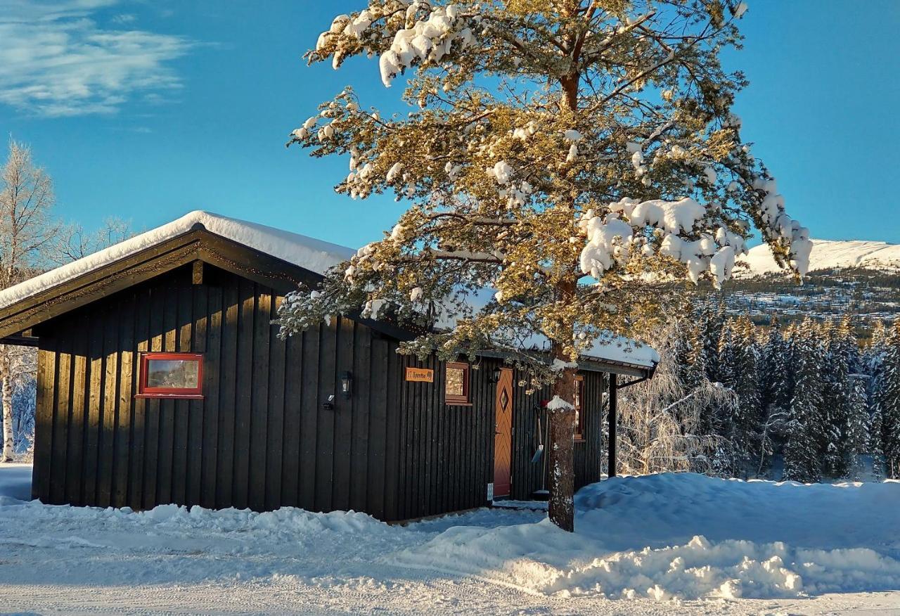 Trysil Hyttegrend المظهر الخارجي الصورة