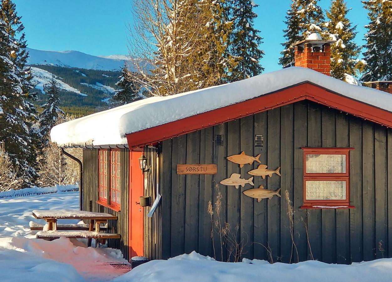 Trysil Hyttegrend المظهر الخارجي الصورة