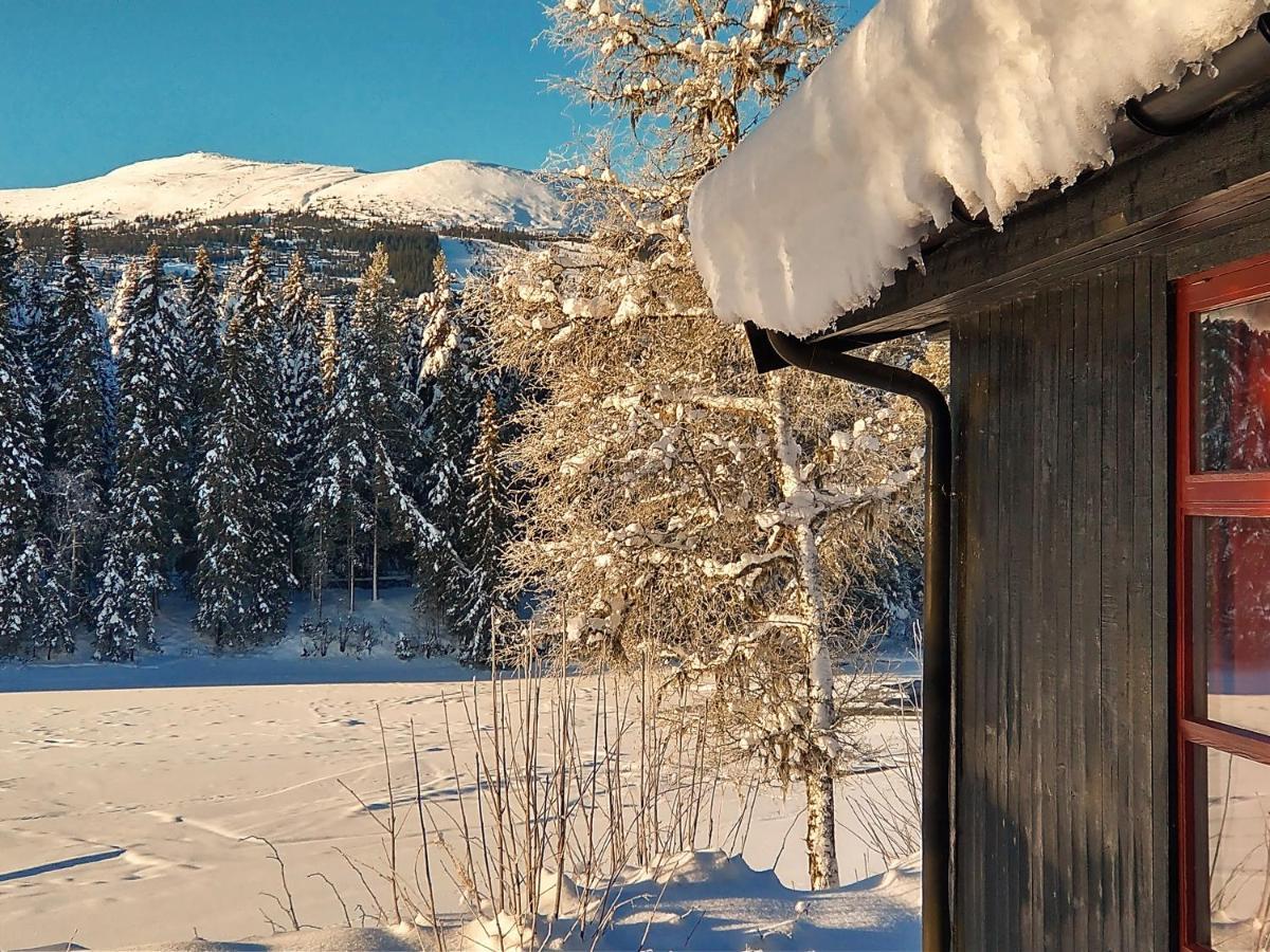 Trysil Hyttegrend المظهر الخارجي الصورة