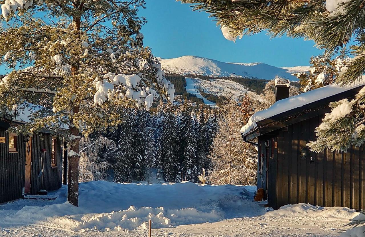 فيلا Trysil Hyttegrend المظهر الخارجي الصورة