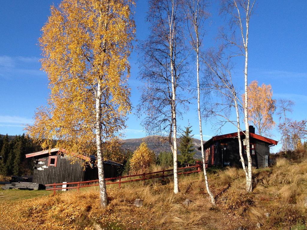 Trysil Hyttegrend المظهر الخارجي الصورة