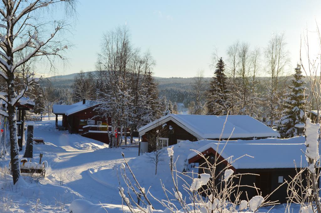 Trysil Hyttegrend المظهر الخارجي الصورة