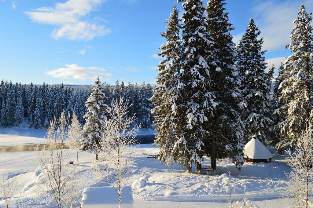 Trysil Hyttegrend المظهر الخارجي الصورة