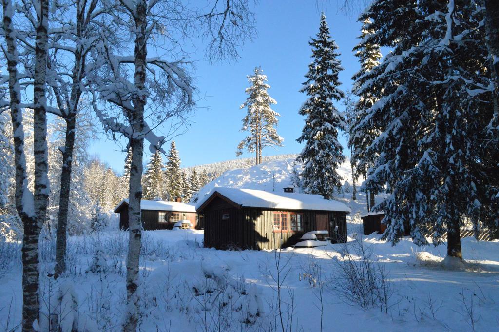 Trysil Hyttegrend المظهر الخارجي الصورة