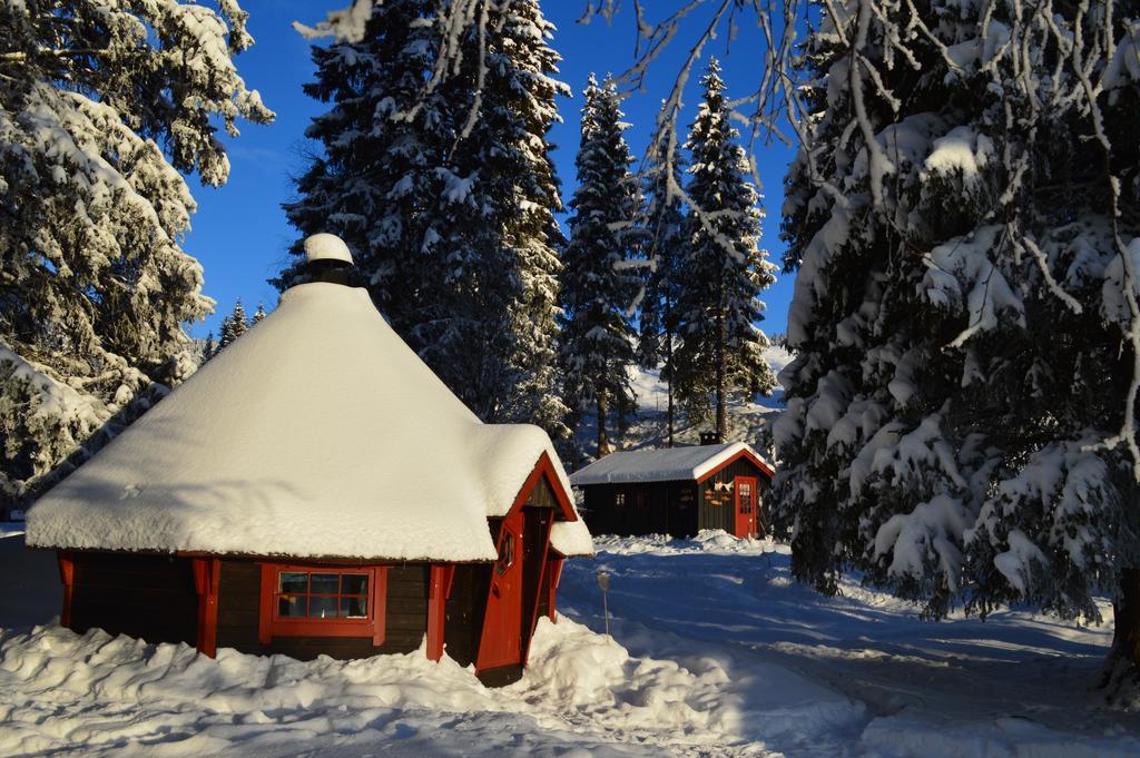 Trysil Hyttegrend المظهر الخارجي الصورة