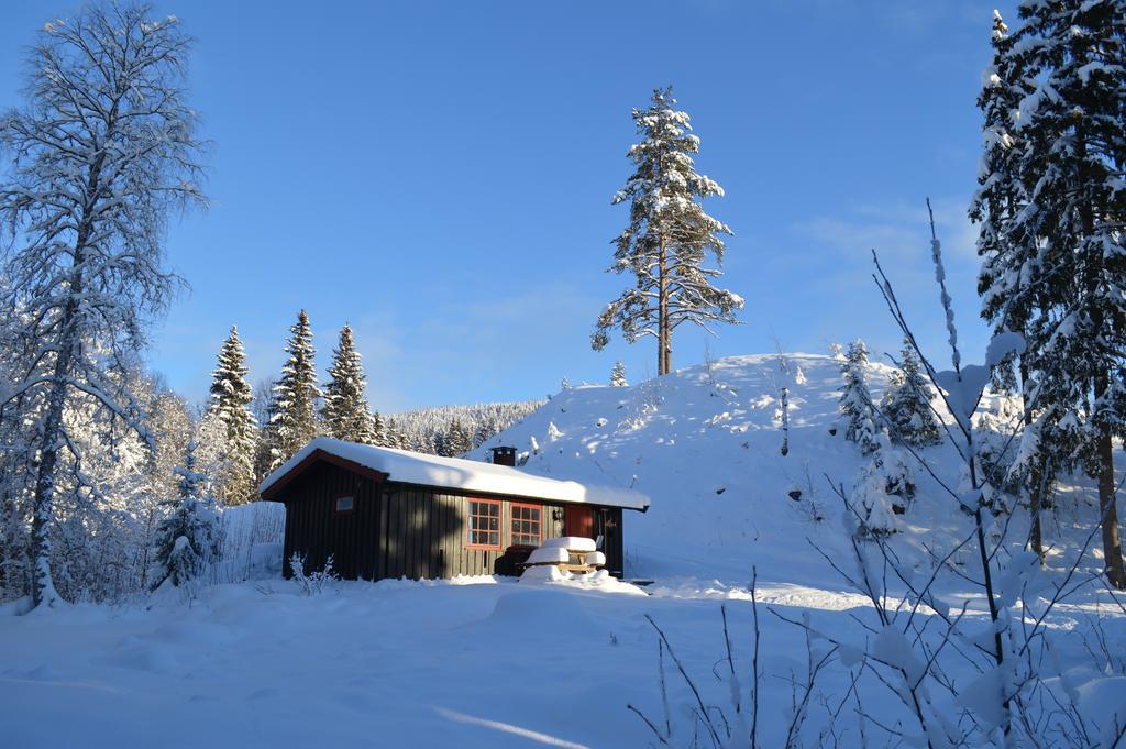 Trysil Hyttegrend المظهر الخارجي الصورة