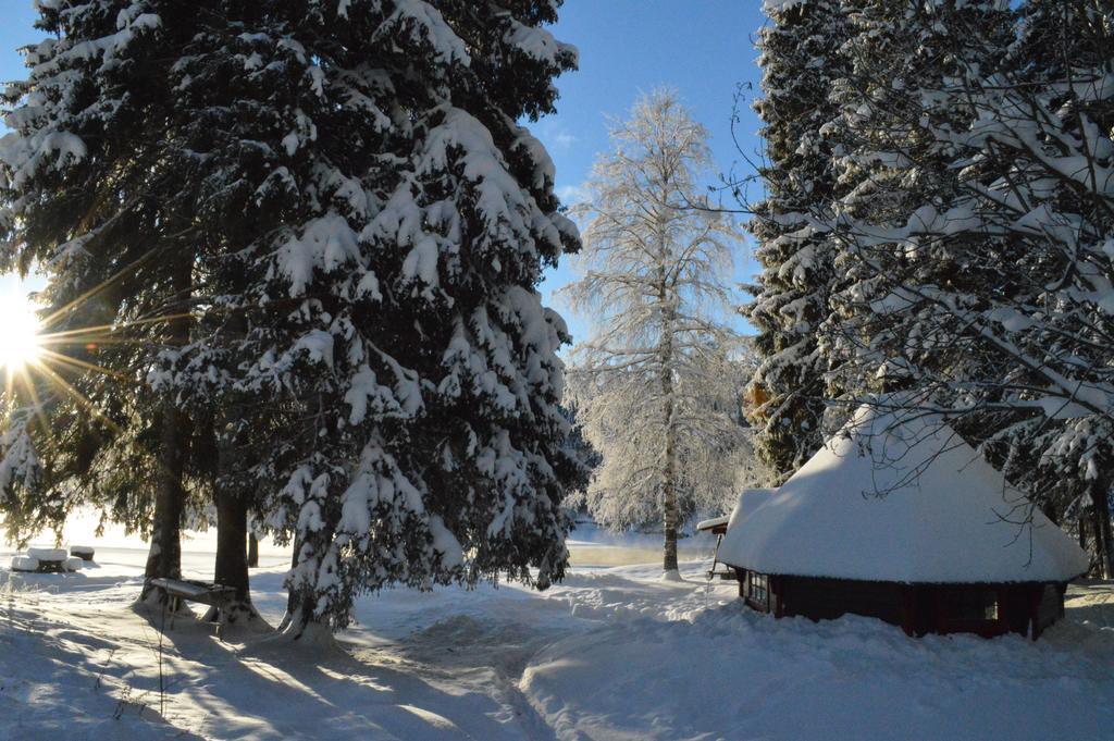 Trysil Hyttegrend المظهر الخارجي الصورة