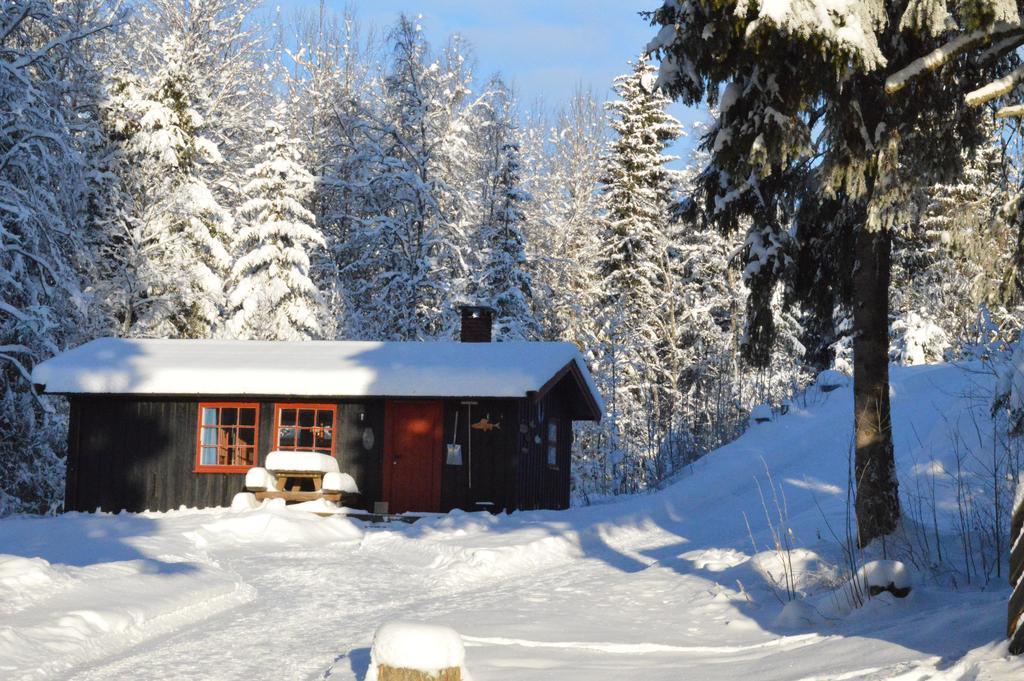 Trysil Hyttegrend المظهر الخارجي الصورة