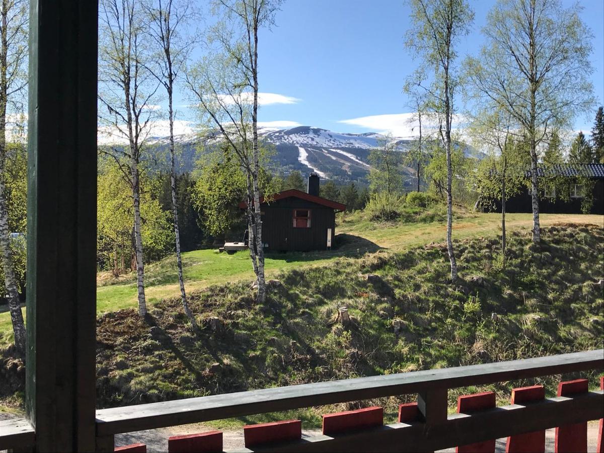 Trysil Hyttegrend المظهر الخارجي الصورة